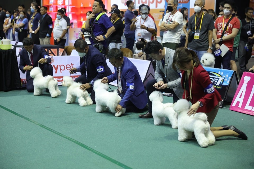 Asia’s biggest dog show happening at the Big Dome