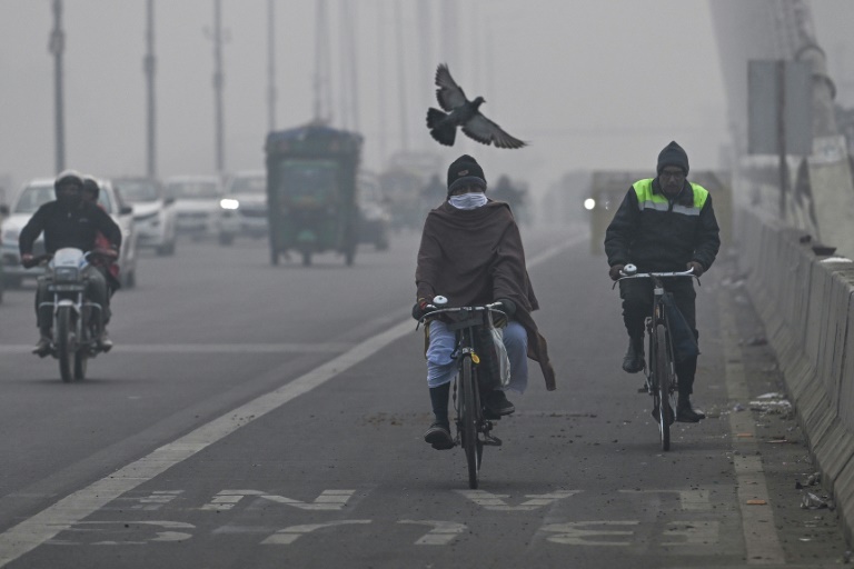 Delhi bans old cars from refuelling to help tackle city’s pollution