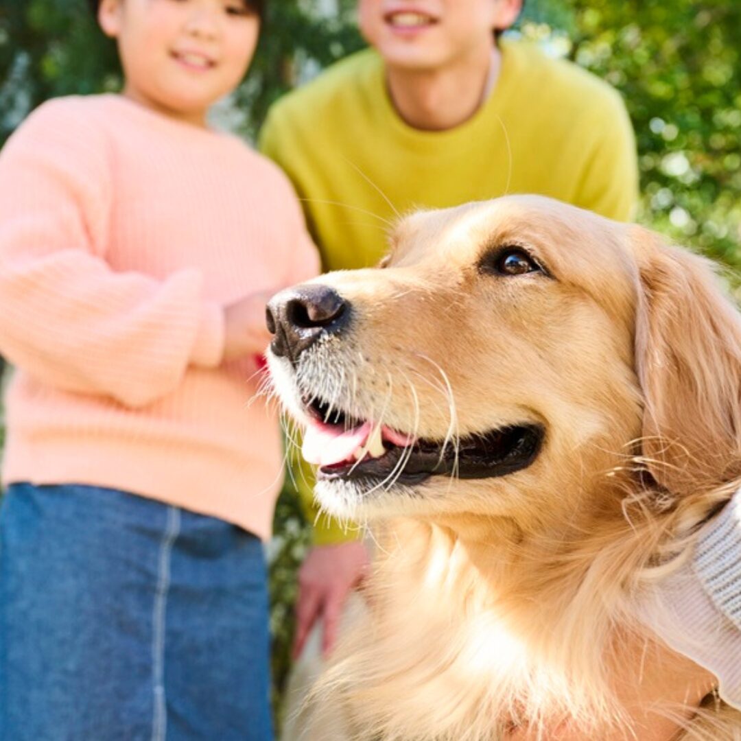 Pet’s Date Night 2025: Celebrating stronger bonds between pets and people