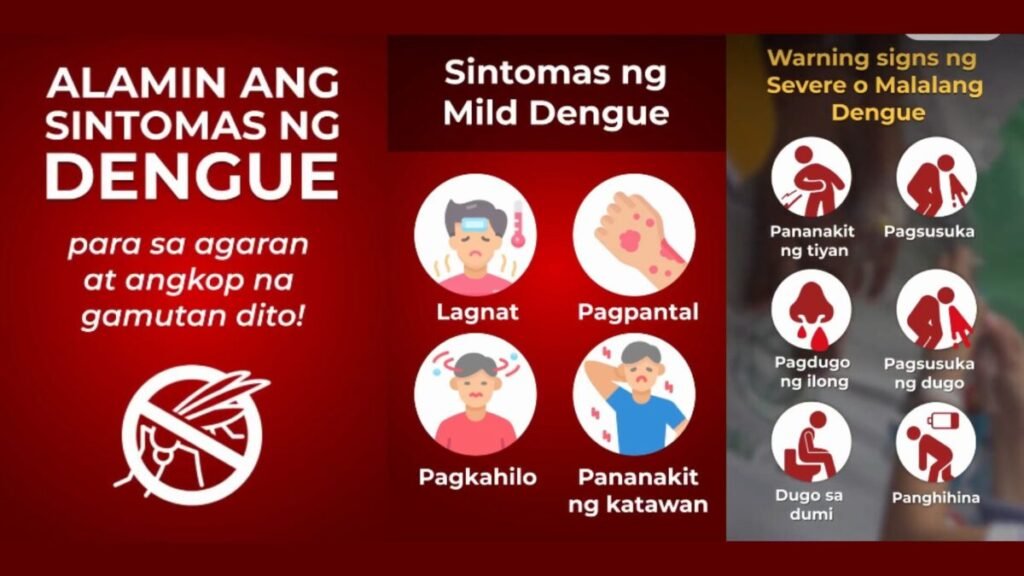 Dengue Warning: Public Urged to Recognize Danger Signs and Act Immediately