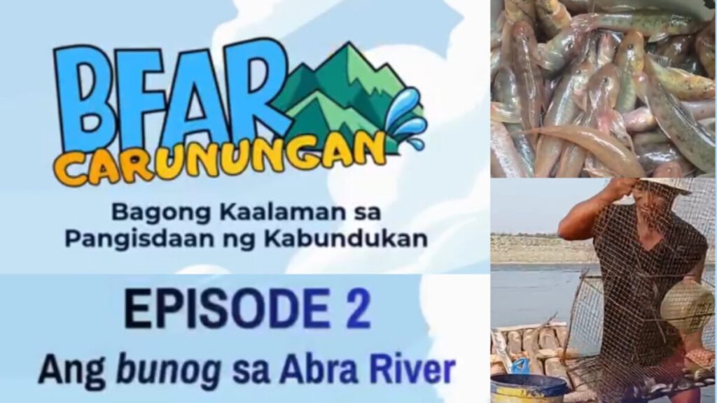 BFAR-CAR Spotlights the Importance of Bunog in the Abra River Through Episode 2 of #BFARCARunungan
