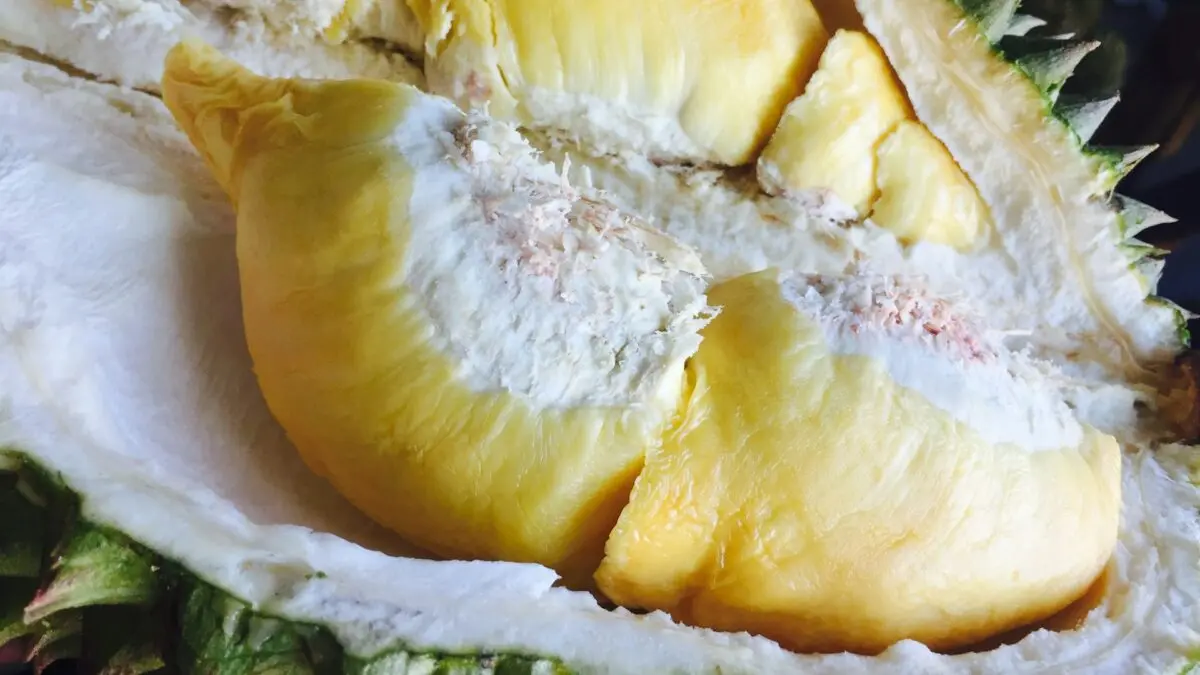 DA-BAFS Sets Pesticide Residue Limits for Durian to Strengthen Food Safety and Consumer Protection